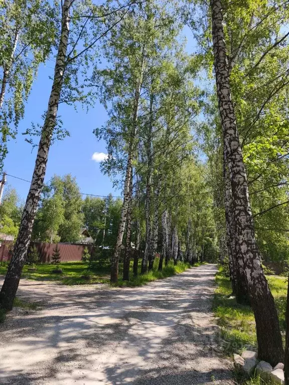 Участок в Тульская область, Тула городской округ, с. Частое ул. ... - Фото 2