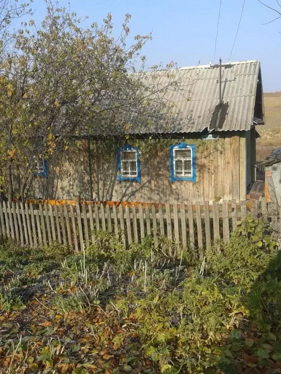 Дом в Алтайский край, Шелаболихинский район, с. Новообинцево Школьная ... - Фото 0