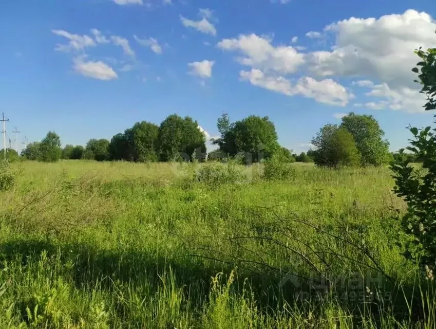 Участок в Вологодская область, пос. Непотягово, д. Кудрино  (16.0 ... - Фото 1