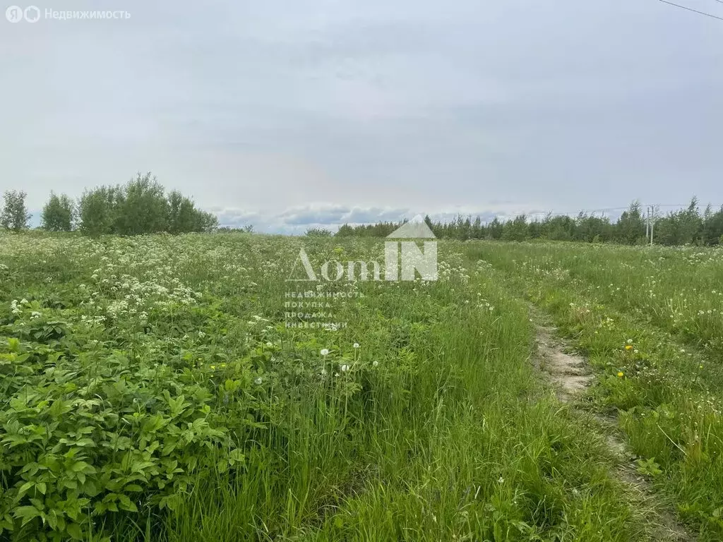 Участок в Копорское сельское поселение, деревня Широково, территория ... - Фото 2