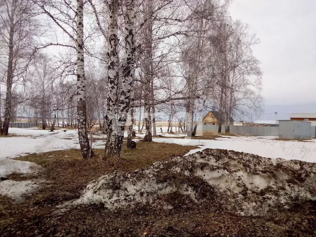 Участок в Тюменская область, с. Казанское ул. Сибирская, 14 (12.0 ... - Фото 0