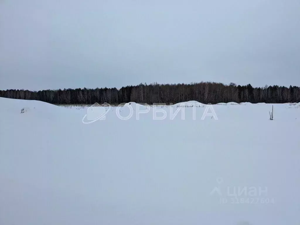 Участок в Тюменская область, Тюменский район, с. Кулига  (8.0 сот.) - Фото 1