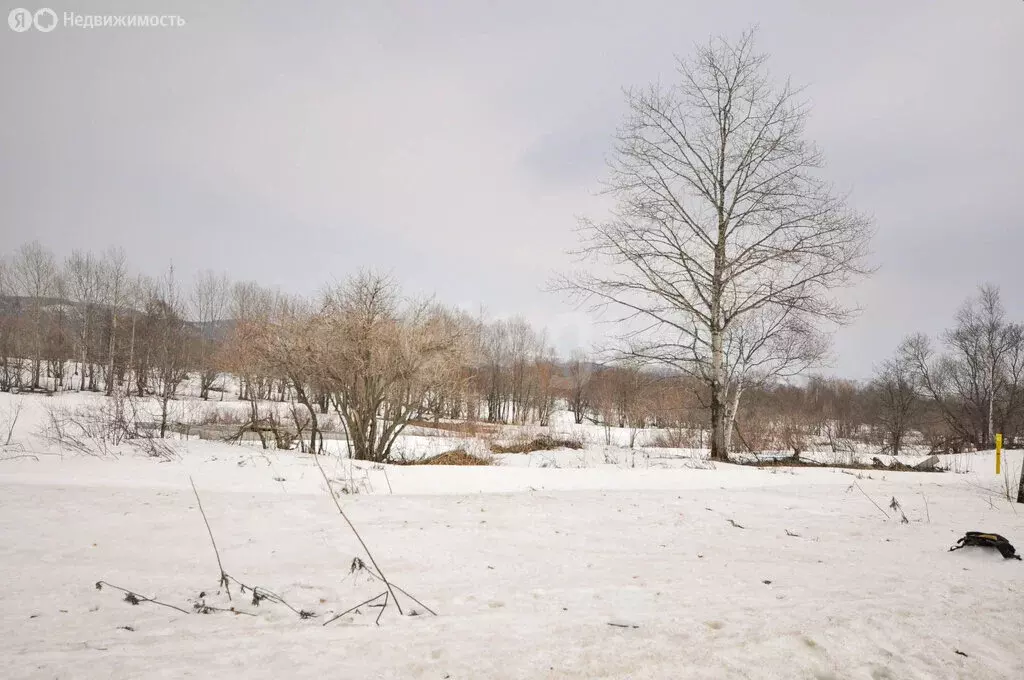 Участок в село Сокол (8.12 м) - Фото 2