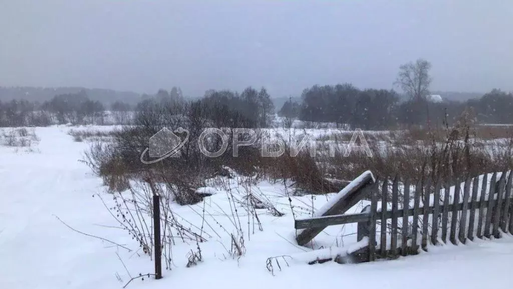 Участок в Свердловская область, Тугулымский муниципальный округ, д. ... - Фото 2