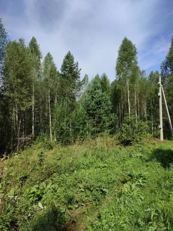 Участок в Кемеровская область, Таштагол ул. 8 Марта (15.0 сот.) - Фото 1