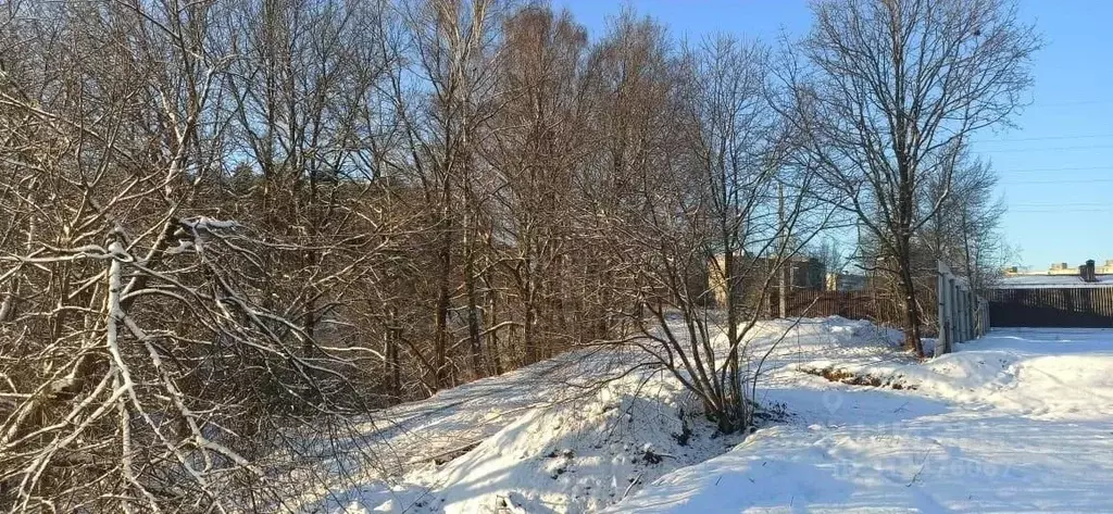 Участок в Владимирская область, Александров  (10.0 сот.) - Фото 1