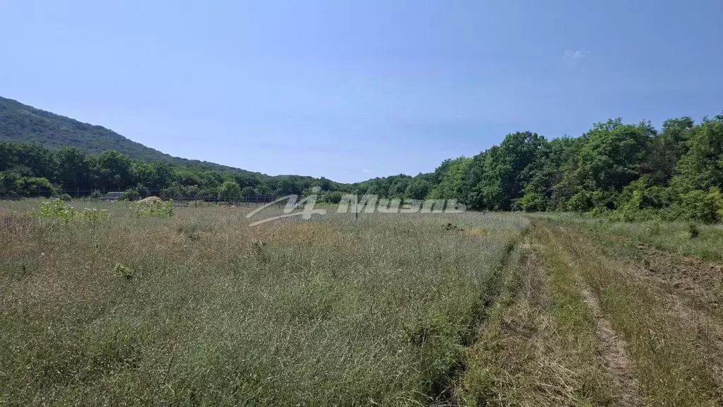 Участок в Крым, Белогорский район, с. Земляничное  (12.0 сот.) - Фото 1