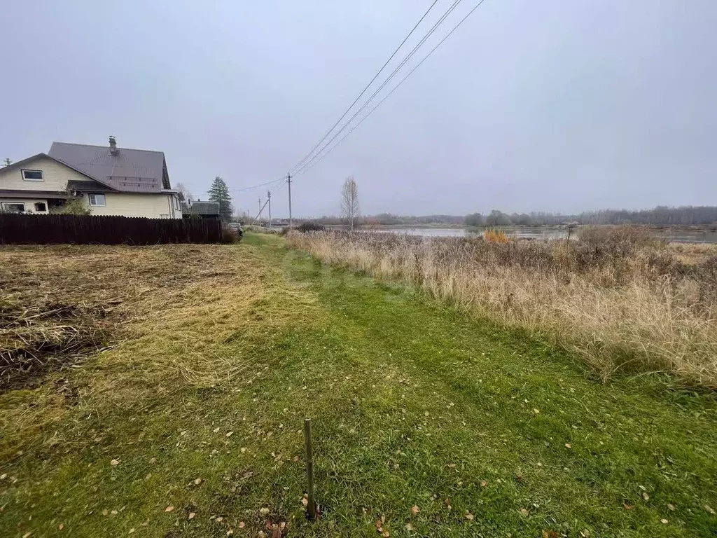Участок в Вологодская область, Сокольский муниципальный округ, д. Шера ... - Фото 2