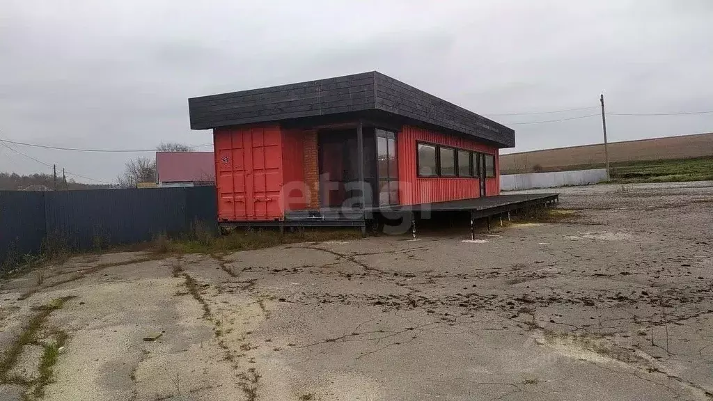 Торговая площадь в Воронежская область, Нижнедевицкий район, ... - Фото 1