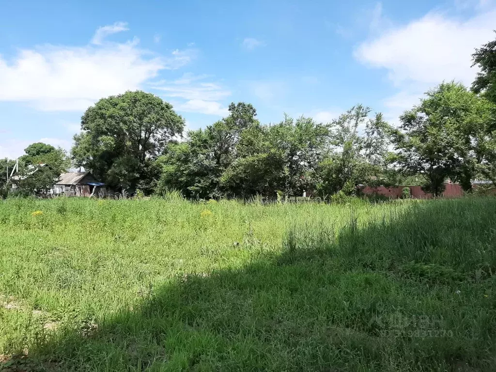Участок в Приморский край, Уссурийский городской округ, с. Борисовка ... - Фото 1