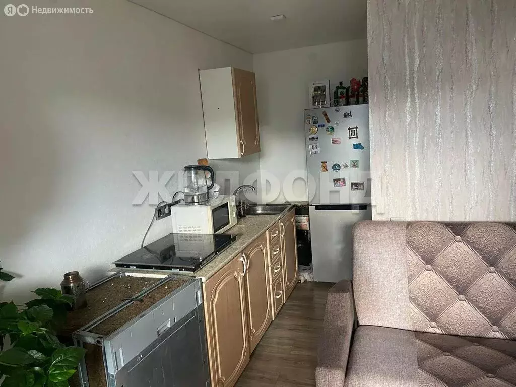 Квартира-студия: село Раздольное, Берёзовая улица, 10 (22.4 м) - Фото 0