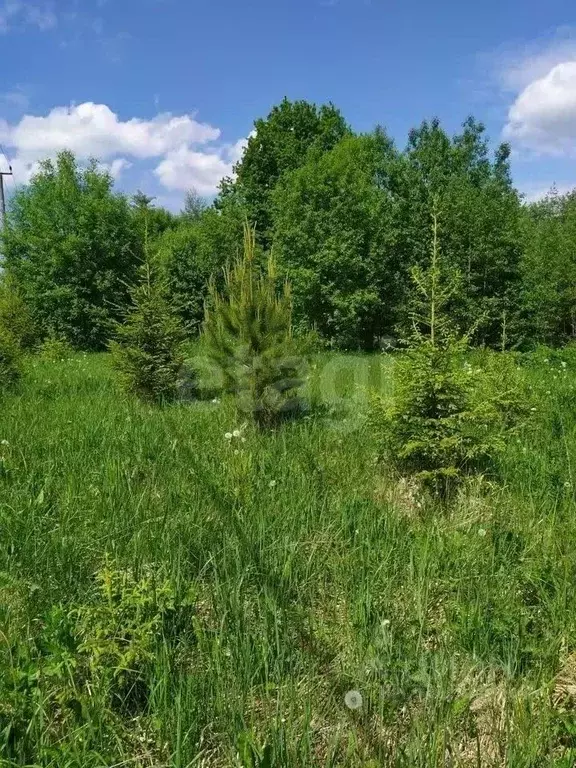 Участок в Московская область, Одинцовский городской округ, д. ... - Фото 0