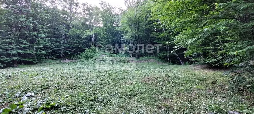 Участок в Краснодарский край, Туапсинский муниципальный округ, Горняк ... - Фото 2