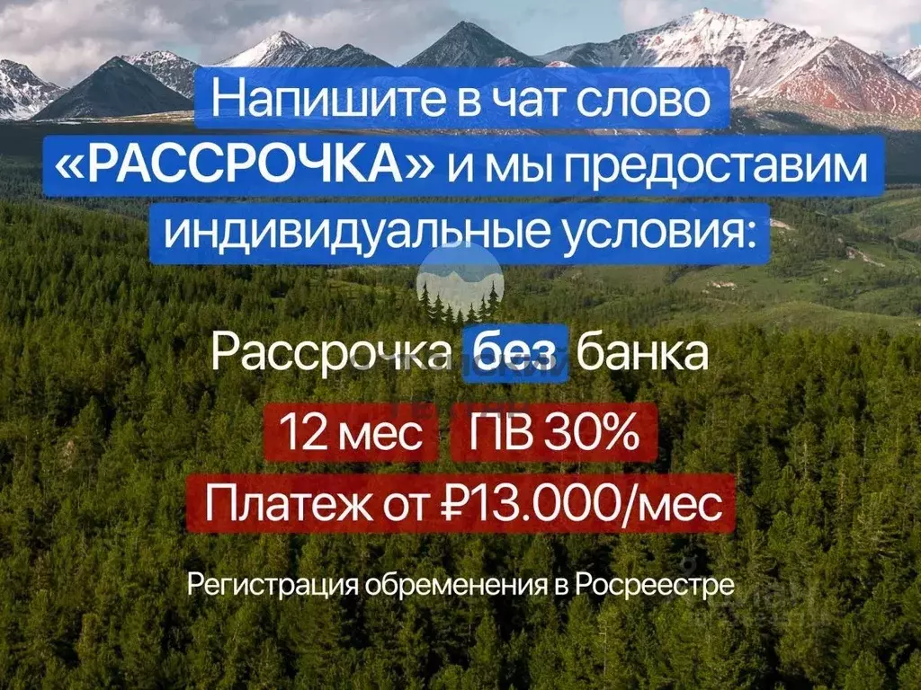 Участок в Алтайский край, Первомайский район, с. Боровиха ул. Южная, ... - Фото 2