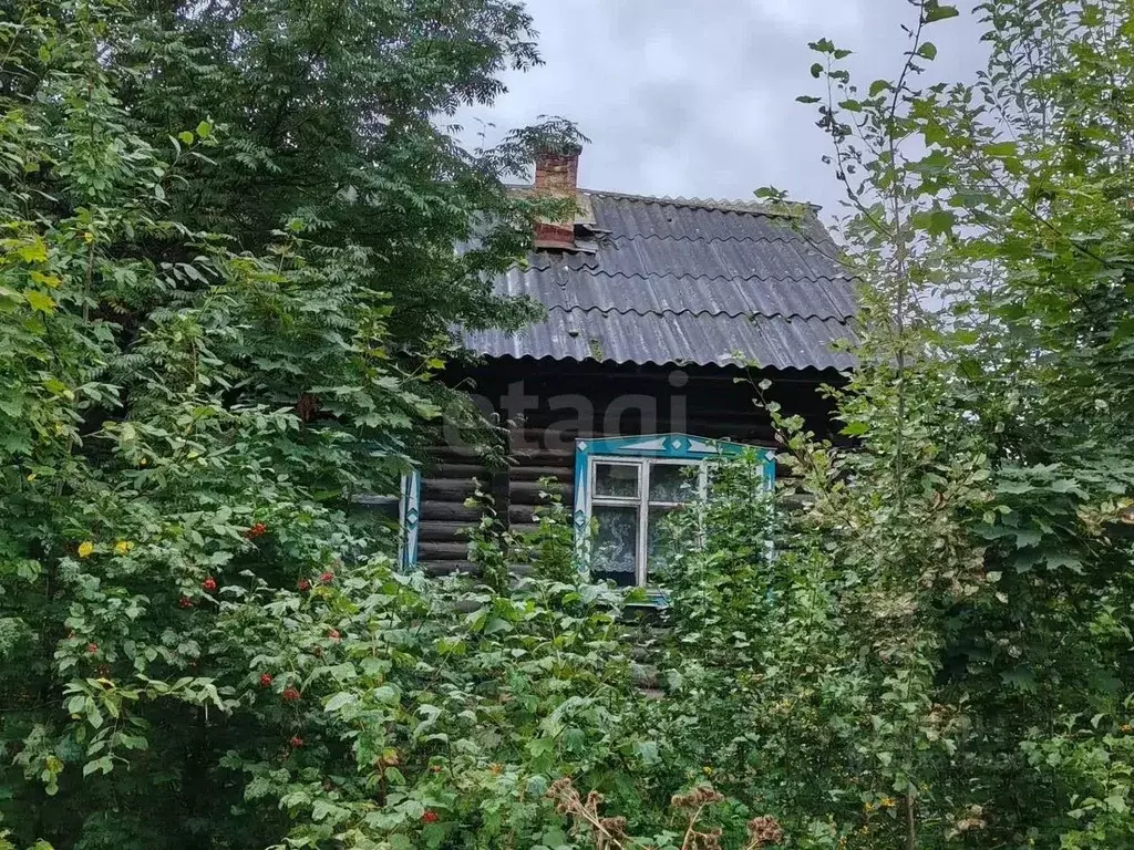 Дом в Удмуртия, Балезинский район, с. Заречный Советская ул., 2 (54 м) - Фото 2