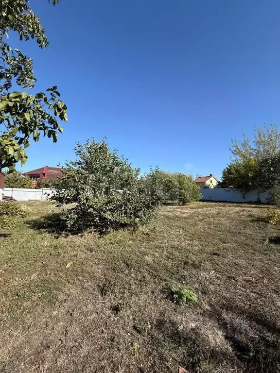 Участок в Ростовская область, Аксайский район, Большой Лог хут. ... - Фото 2