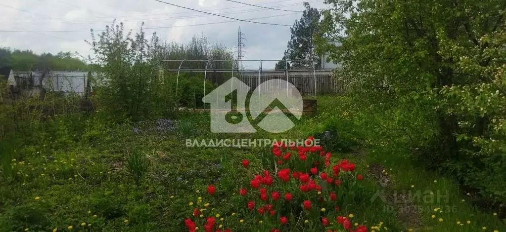 Участок в Новосибирская область, Новосибирск Восход садовое ... - Фото 0