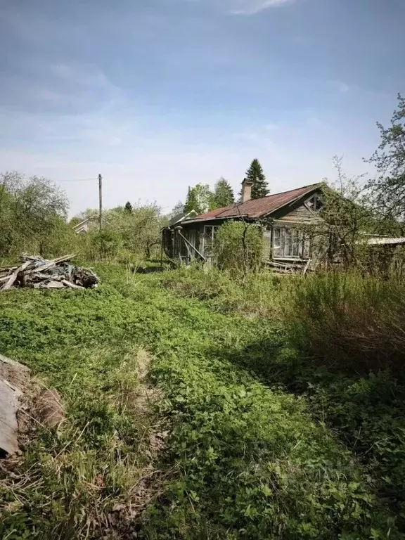 Участок в Ленинградская область, Выборгский район, Рощино пгт, Наука ... - Фото 1