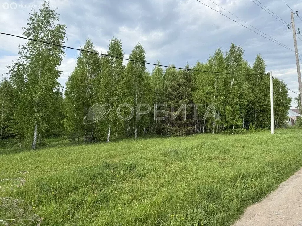 Участок в Тюменский муниципальный округ, деревня Головина (15 м) - Фото 1