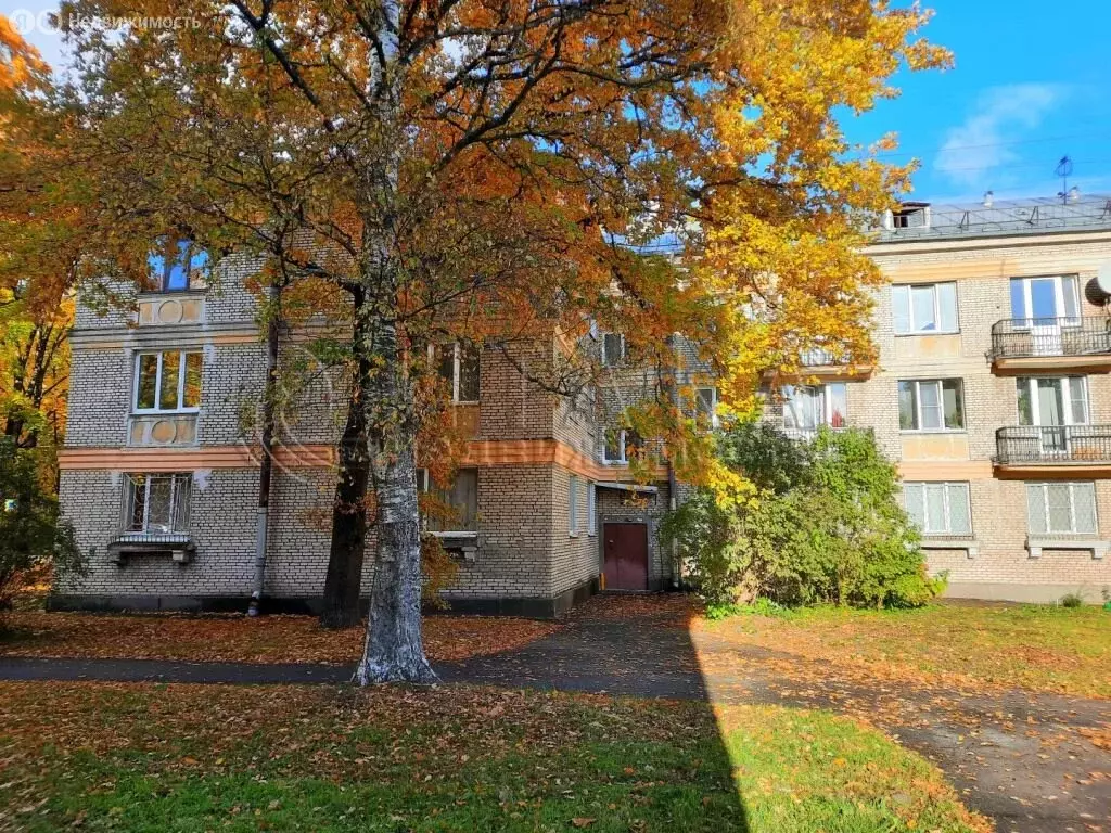 2-комнатная квартира: Пушкин, улица Глинки, 9 (50.1 м) - Фото 2