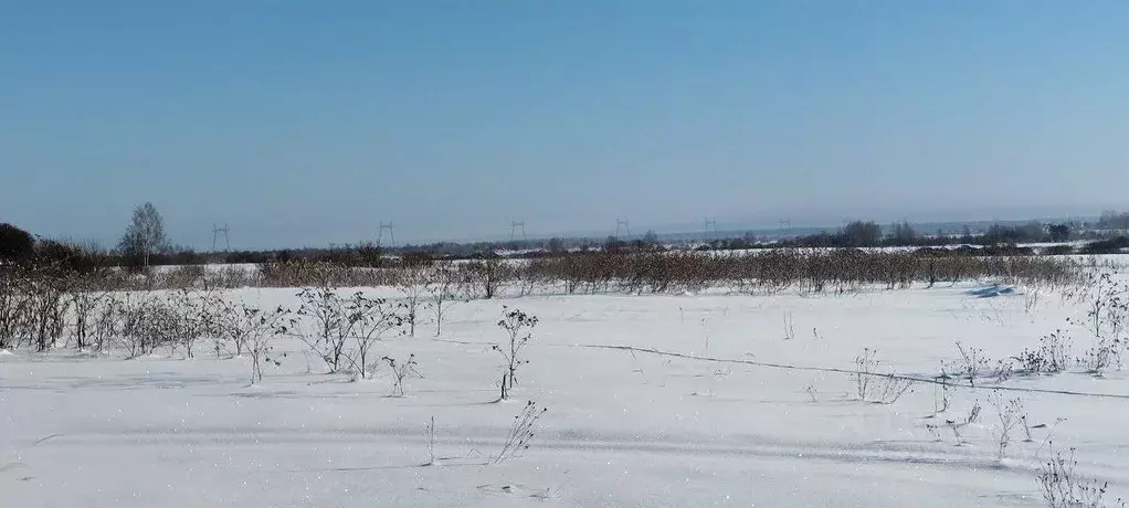 Участок в Московская область, Можайский муниципальный округ, д. ... - Фото 1