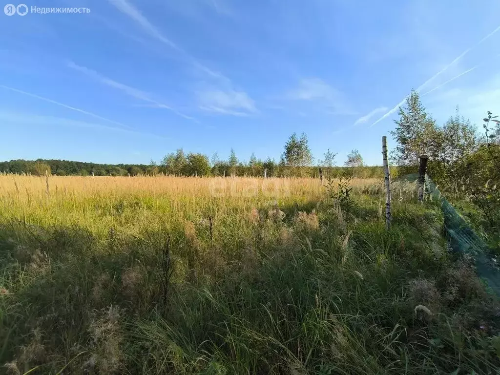 Участок в Московская область, городской округ Коломна, деревня Шапкино ... - Фото 0