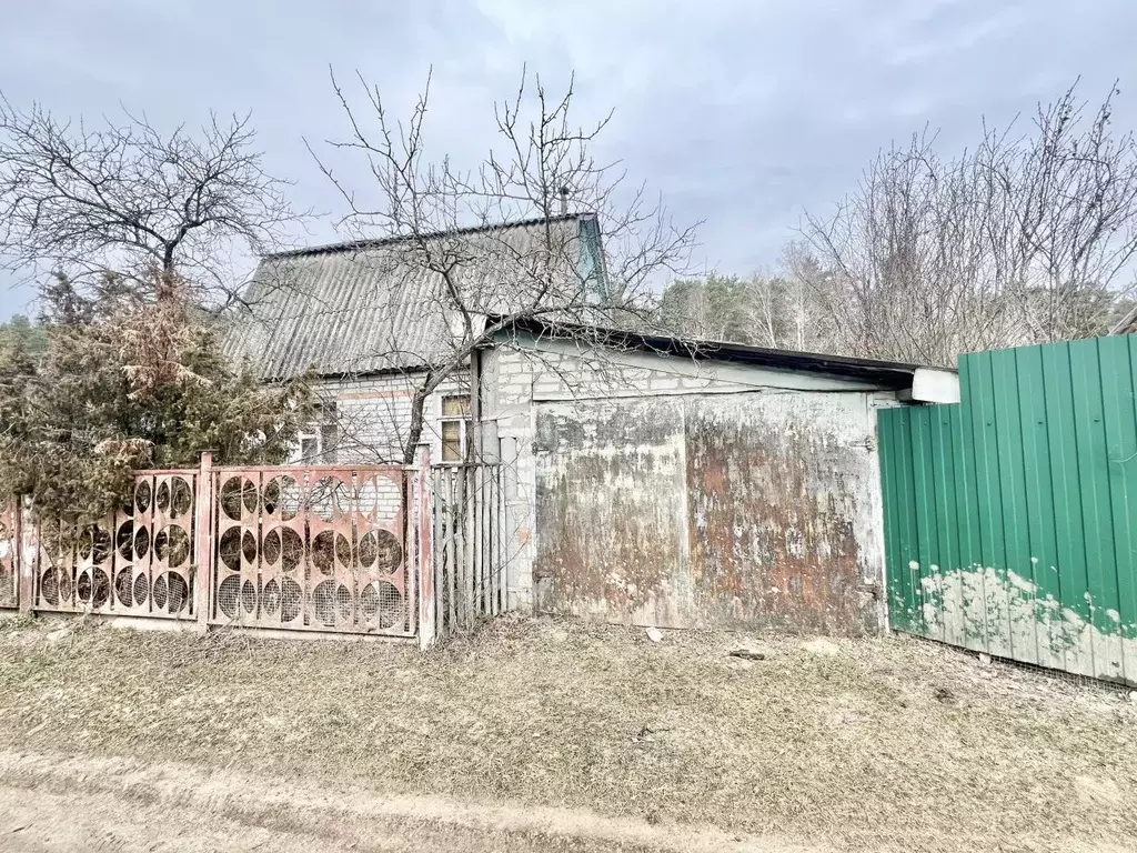 Дом в Брянская область, Брянский район, Нетьинское с/пос, д. Глаженка ... - Фото 2