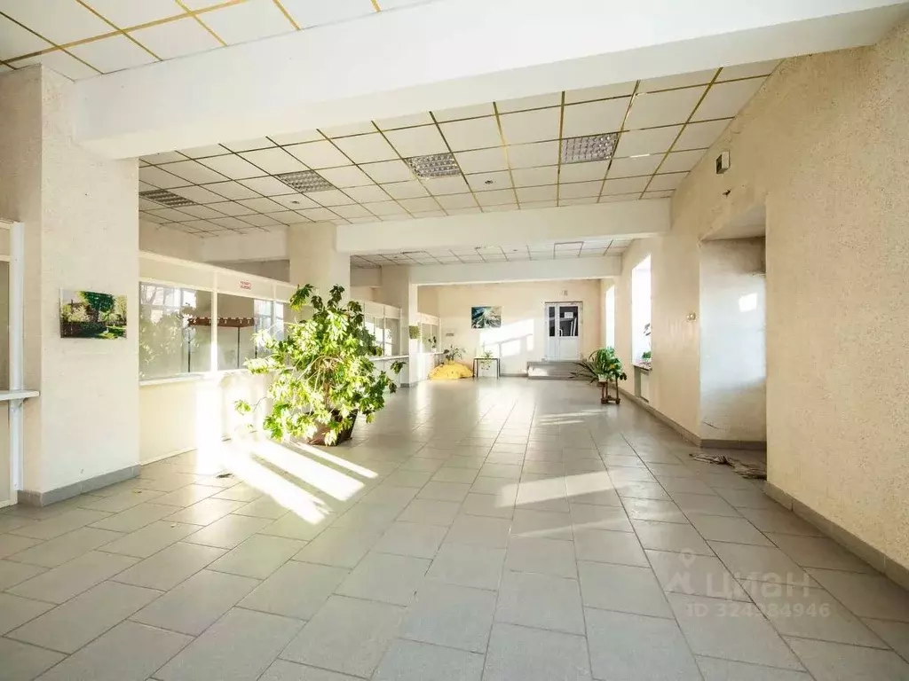 Помещение свободного назначения в Новосибирская область, Новосибирск ... - Фото 1