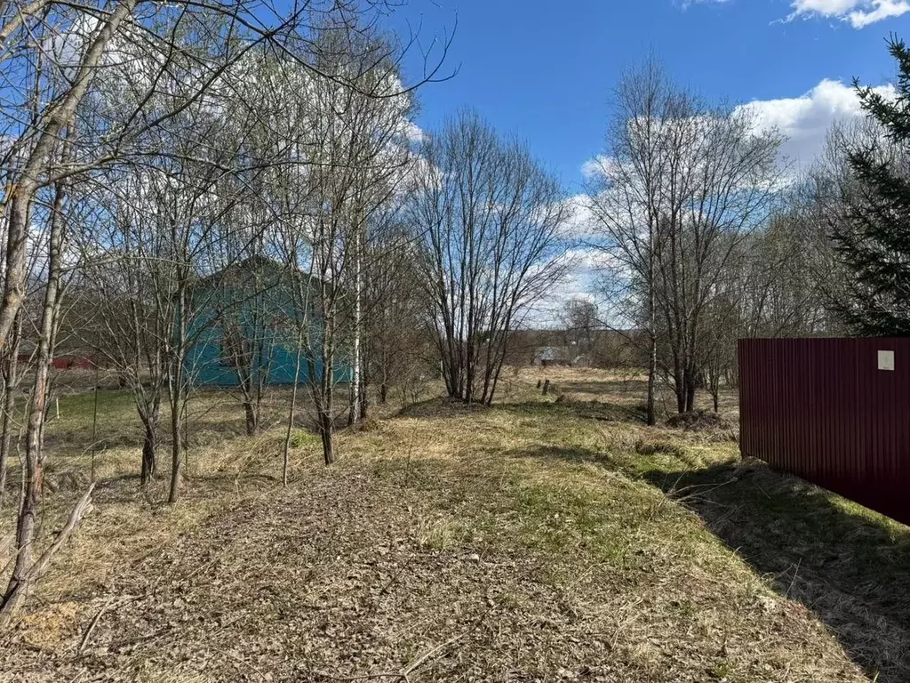 Участок в Московская область, Чехов муниципальный округ, д. Дулово 114 ... - Фото 2