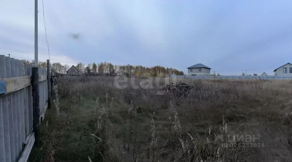 Участок в Курганская область, Кетовский муниципальный округ, с. ... - Фото 1