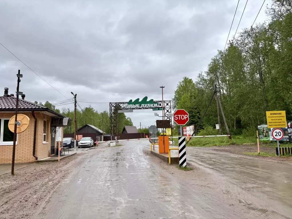 Участок в Ленинградская область, Всеволожский район, Лесколовское ... - Фото 1