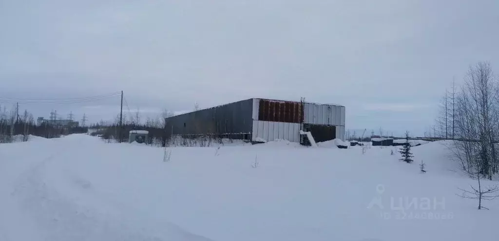 Помещение свободного назначения в Красноярский край, Туруханский ... - Фото 0