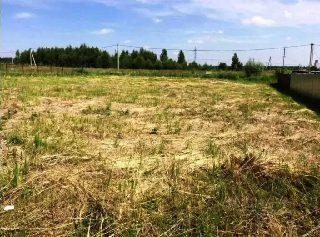 Участок в Татарстан, Нижнекамский район, Каенлинское с/пос, с. Борок ... - Фото 1