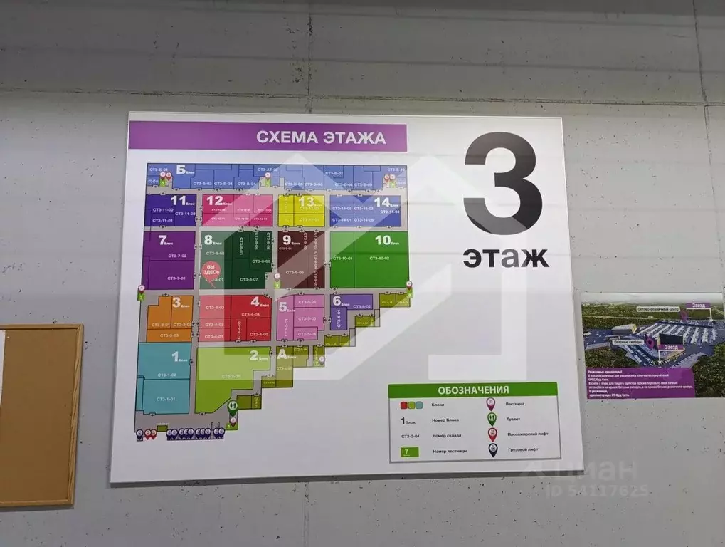 Помещение свободного назначения в Москва д. Мамыри, 1Д (387 м) - Фото 2