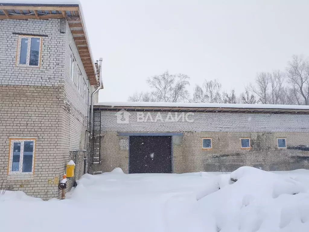 Помещение свободного назначения в Нижегородская область, Бор ул. ... - Фото 1