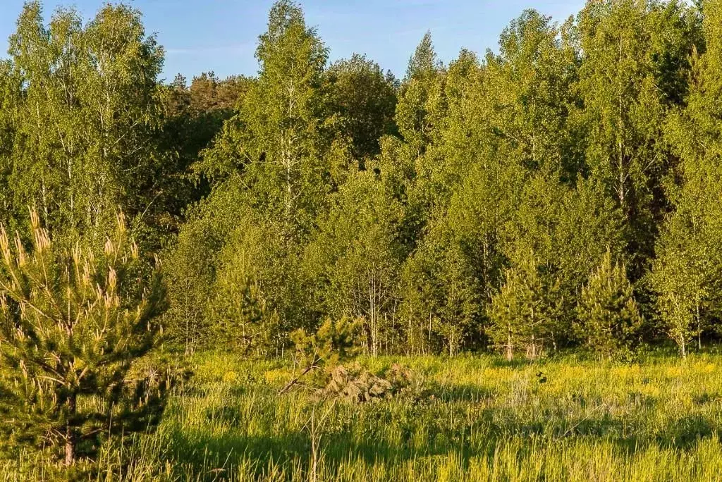 Участок в Московская область, Красногорск городской округ, д. ... - Фото 0