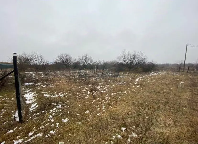Участок в Ростовская область, Родионово-Несветайский район, ... - Фото 0