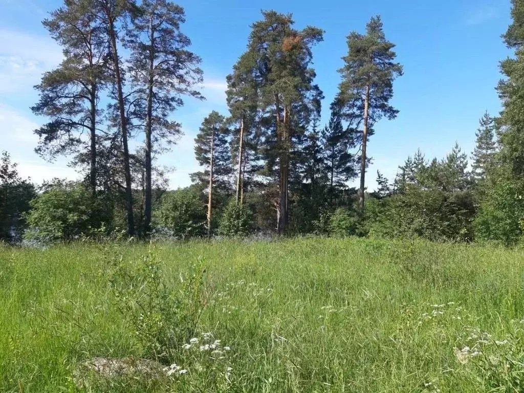 Участок в Ленинградская область, Приозерский район, Мельниковское ... - Фото 1