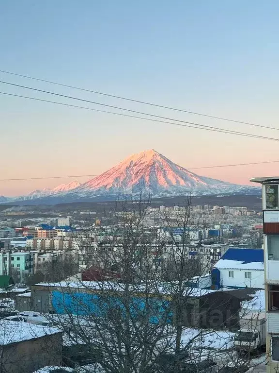 2-к кв. Камчатский край, Петропавловск-Камчатский ул. Автомобилистов, ... - Фото 1