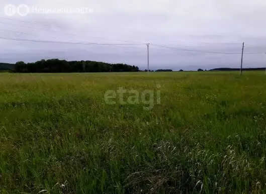 Участок в Красноярский край, Емельяновский муниципальный округ, ... - Фото 2