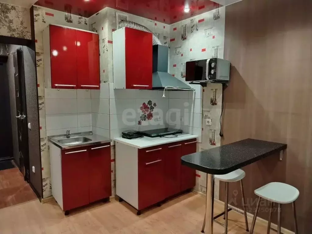 Студия Новосибирская область, Новосибирск Ударная ул., 25/1 (25.0 м) - Фото 2