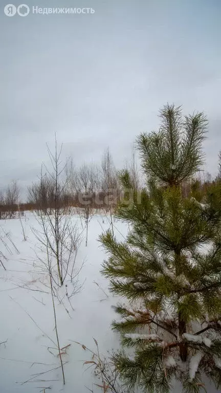 Участок в Томский район, ДНТ Уютный, улица Алексея Иванова (10.2 м) - Фото 0