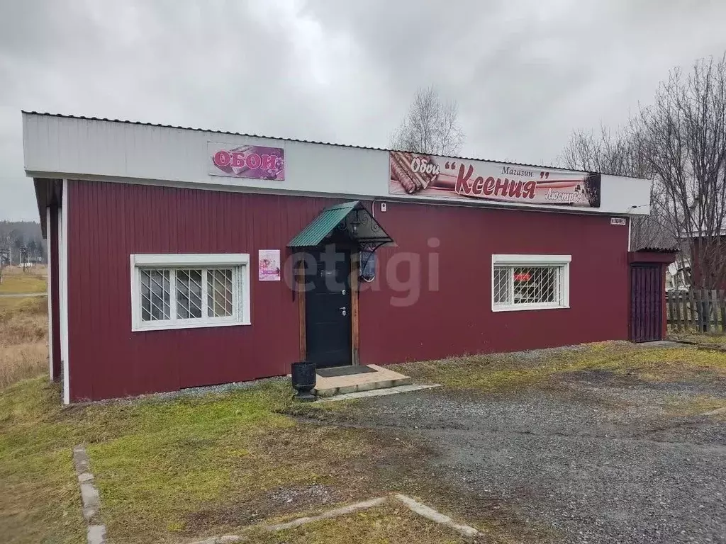 Торговая площадь в Свердловская область, Шаля пгт ул. Пушкина, 5 (62 ... - Фото 2