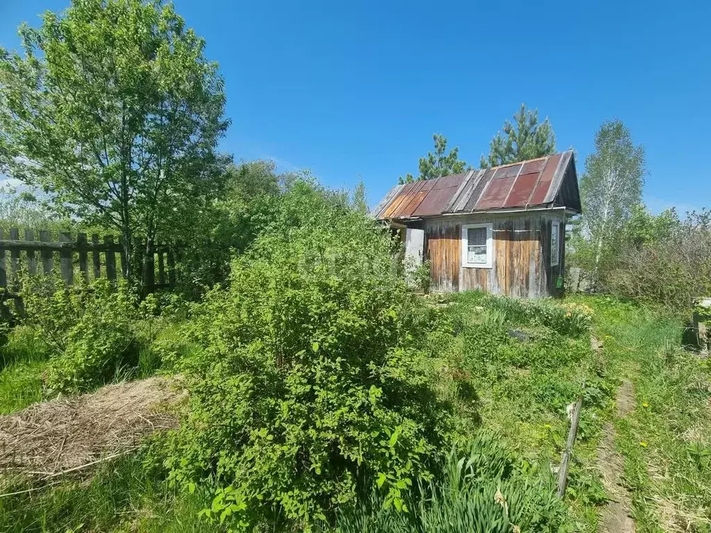 Дом в Тюменская область, Тобольск Дружба садоводческое товарищество, ... - Фото 1