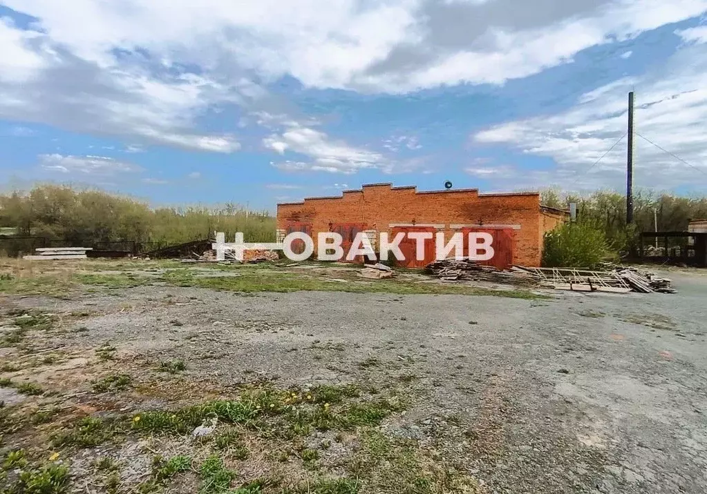 Помещение свободного назначения в Новосибирская область, Тогучин ... - Фото 0