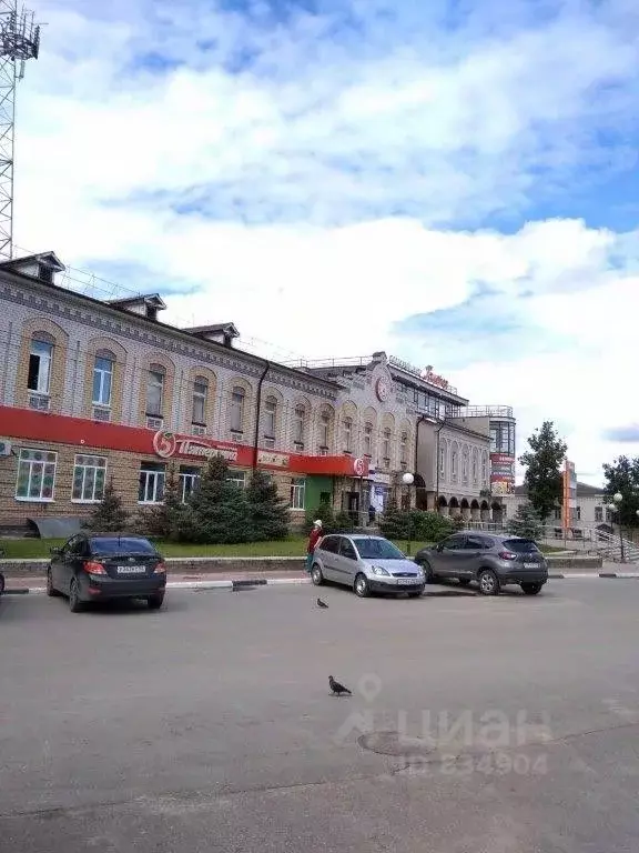 Помещение свободного назначения в Нижегородская область, Семенов ул. ... - Фото 1