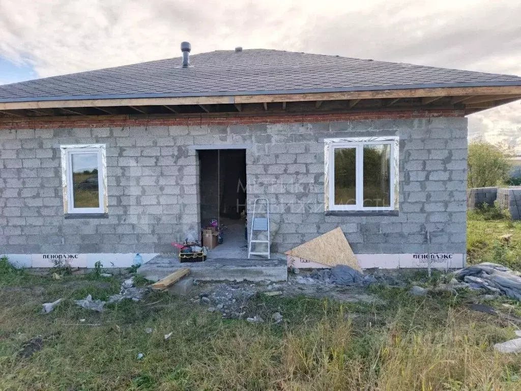 Участок в Тюменская область, Тюменский муниципальный округ, с. Борки ... - Фото 2