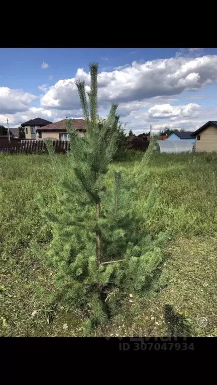 участок в московская область, наро-фоминский городской округ, . - Фото 1