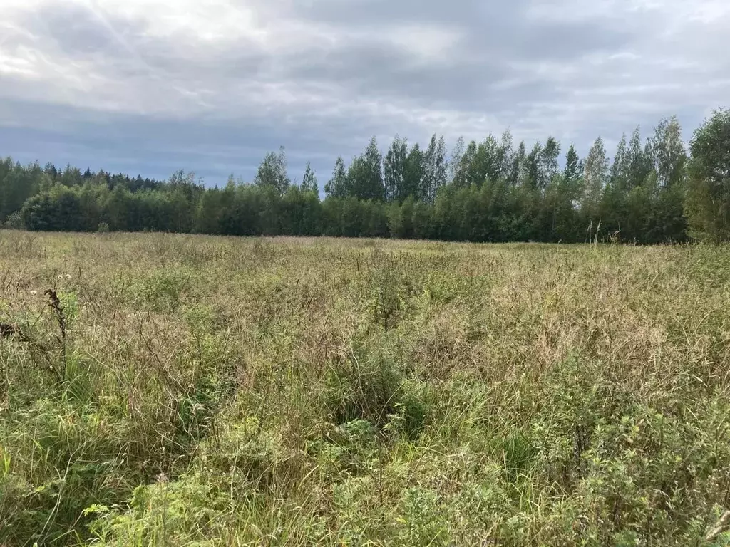 Участок в Ленинградская область, Всеволожский район, Рахьинское ... - Фото 2