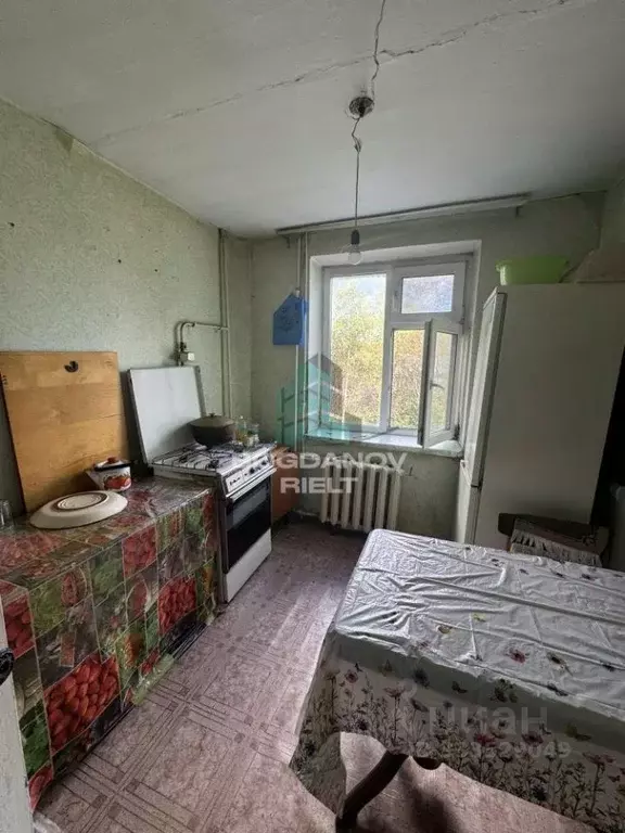 2-к кв. Омская область, Тара Кузнечная ул., 100 (50.3 м) - Фото 1